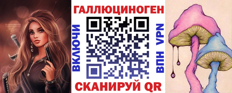 Галлюциногенные грибы Psilocybine cubensis  Бородино 