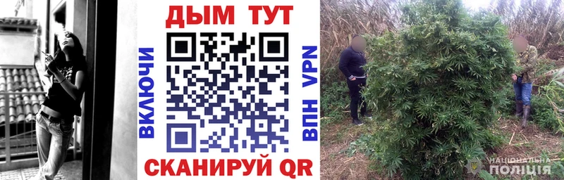 Канабис Amnesia  Бородино 